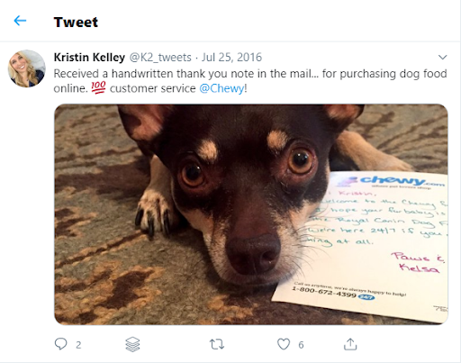 dog with chewy thank you note